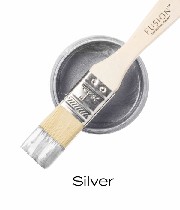 T1SILVER