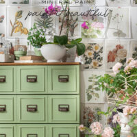 Fusion Mineral Paint Conservatory Apothecary Chest