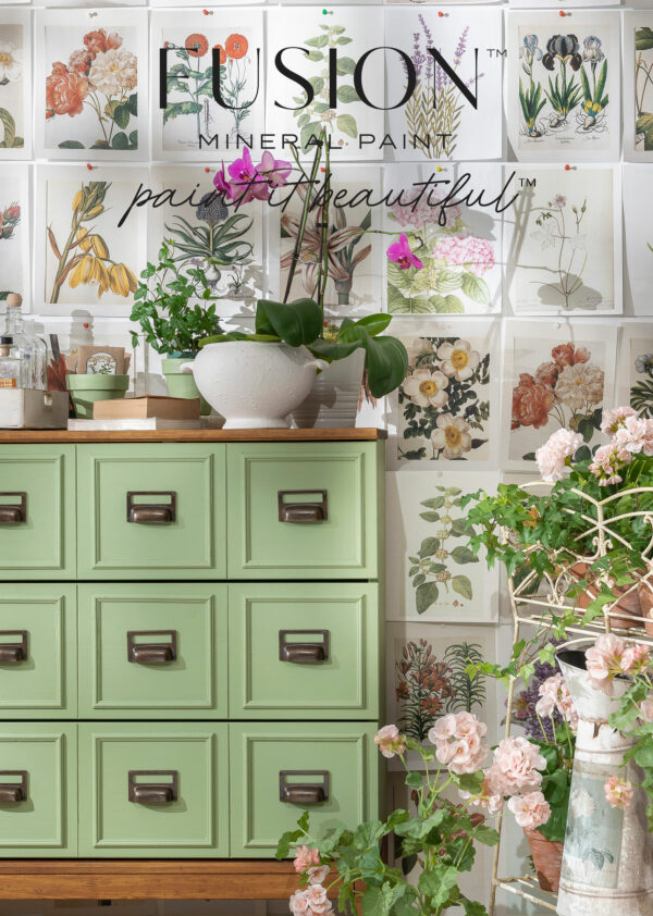 Fusion Mineral Paint Conservatory Apothecary Chest