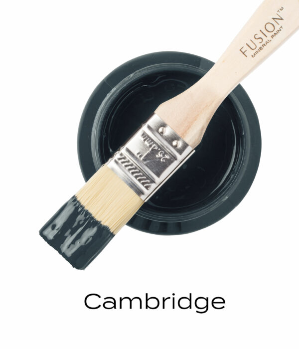 T1CAMBRIDGE